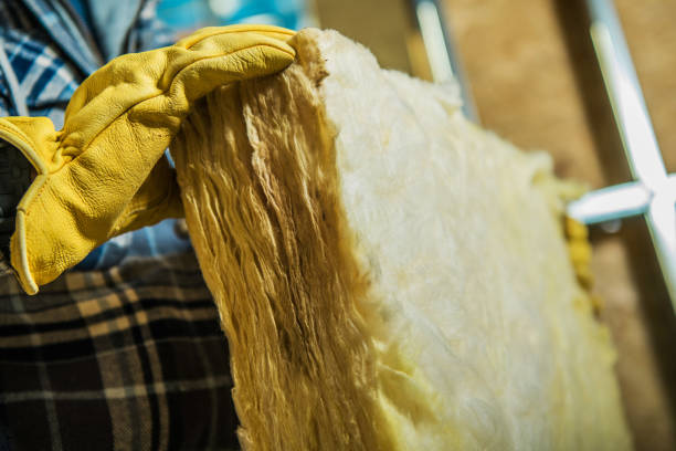 Best DIY Insulation Kits and Guidance in Woodcreek, TX