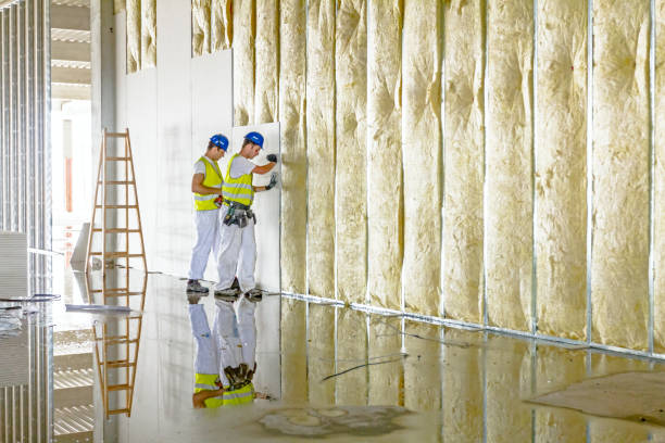 Best Energy Efficiency Insulation in Woodcreek, TX
